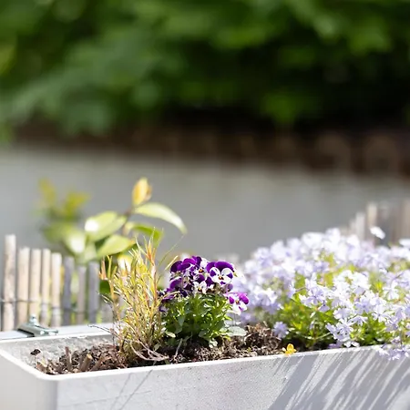 Bed & Breakfast Chez Muna & Lucien Thun