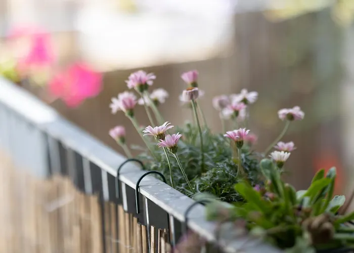 Bed & Breakfast Chez Muna & Lucien Thun