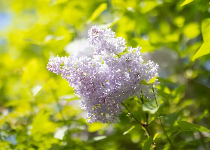 Bed & Breakfast Chez Muna & Lucien