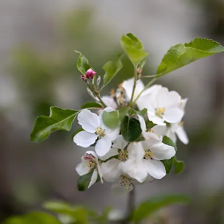 Couette-café Chez Muna&lucien
