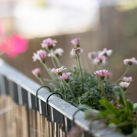 Couette-café Chez Muna&lucien Thoune