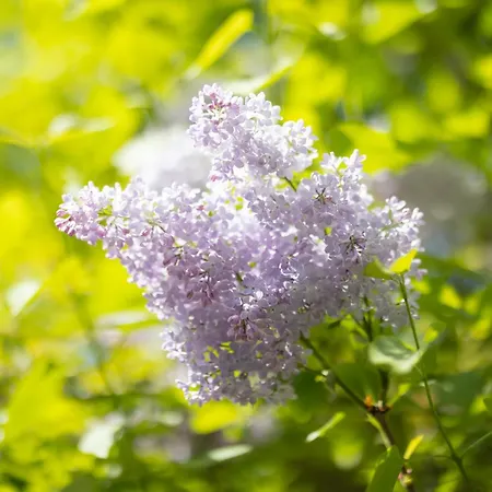 Couette-café Chez Muna&lucien