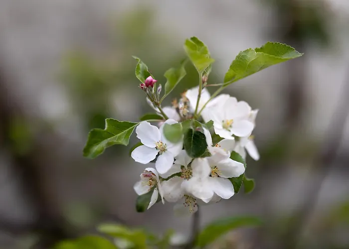 Bed & Breakfast Chez Muna & Lucien